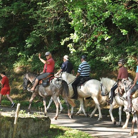 Les Chalets Du Moulin Du Chatain 4 Payzac  المظهر الخارجي الصورة