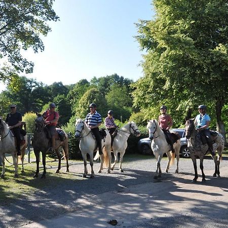 Les Chalets Du Moulin Du Chatain 4 Payzac  المظهر الخارجي الصورة