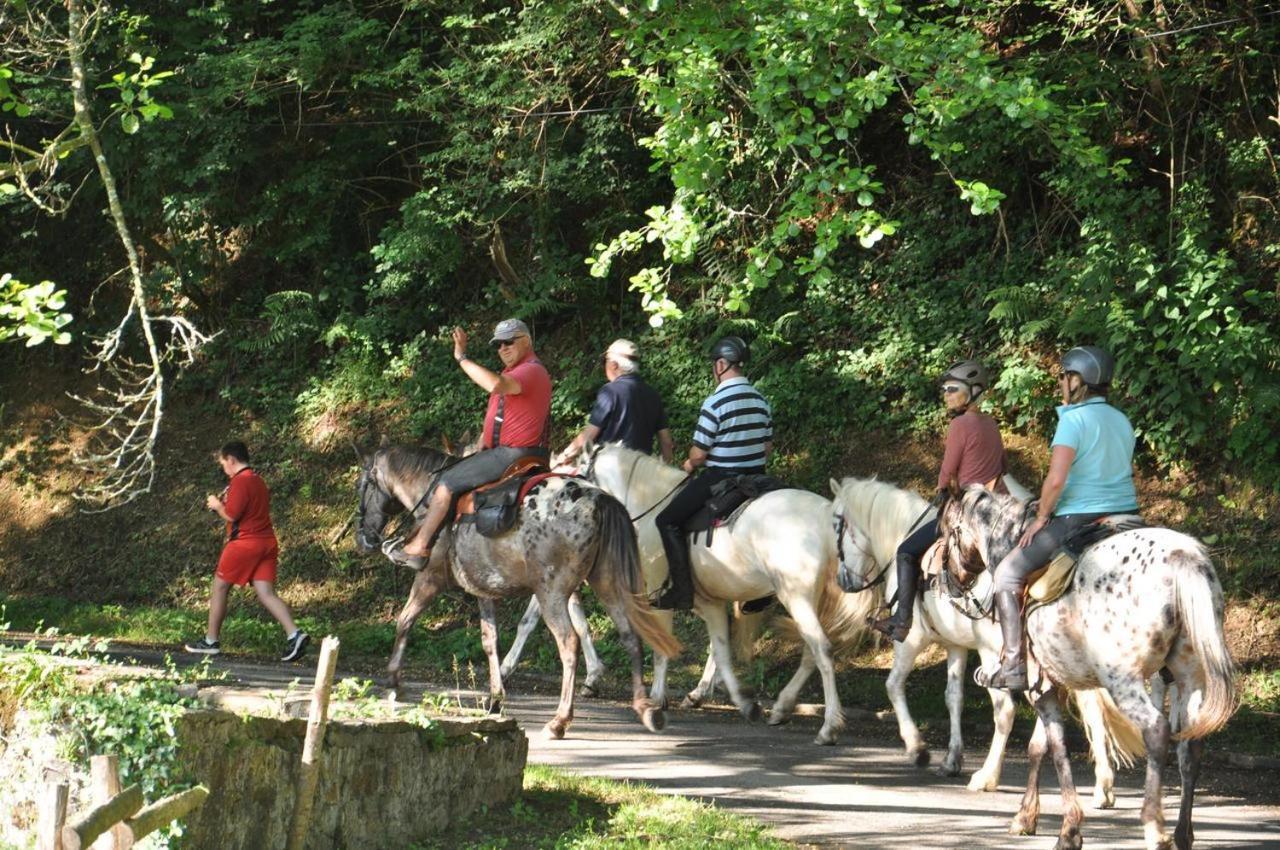 Les Chalets Du Moulin Du Chatain 4 Payzac  المظهر الخارجي الصورة